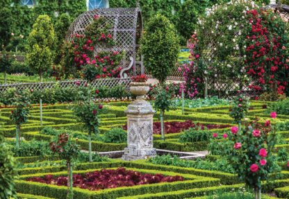 Rose Garden(1336WM) - Image 2