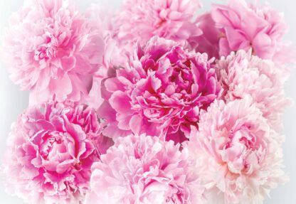 Soft Pastel Pink Flowers(1342WM) - Image 2