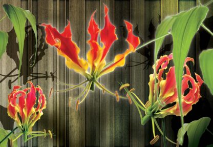 Floral Design(1390WM) - Image 2