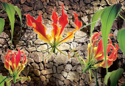 Floral Design(1392WM) - Image 2