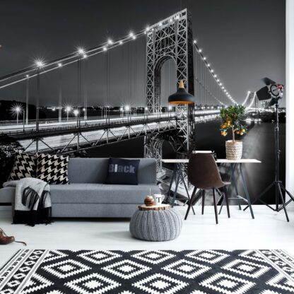 City Skyline Bridge At Night Black And White(1442WM)