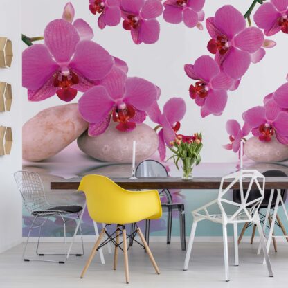 Flowers Orchids(151WM)
