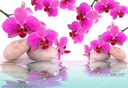 Flowers Orchids(151WM) - Image 2