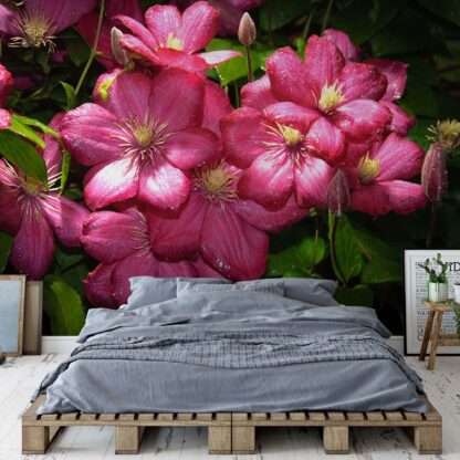 Pink Flowers(1557WM)