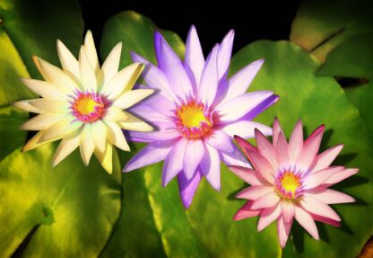 Flowers(1558WM) - Image 2