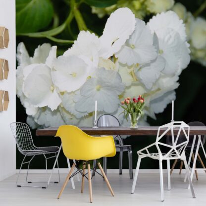 Flowers Hydrangea White(1564WM)