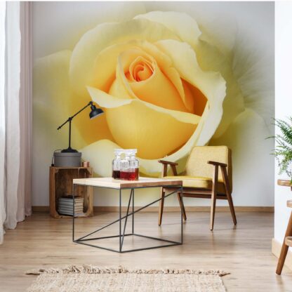 Yellow Rose(1569WM)