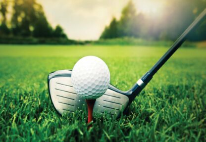 Golf(1621WM) - Image 2