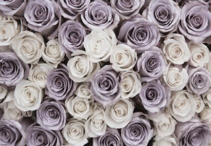 Roses Flowers(1626WM) - Image 2