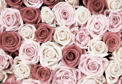 Roses Flowers(1629WM) - Image 2