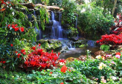 Waterfall Forest Nature(166WM)
