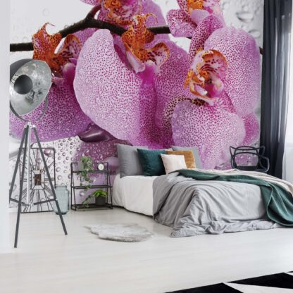 Flowers Orchids Drops(184WM)