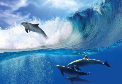 Dolphins Sea Wave Nature(188WM) - Image 2