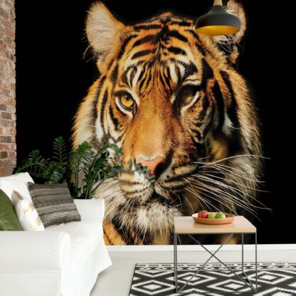 Tiger(1964WM)