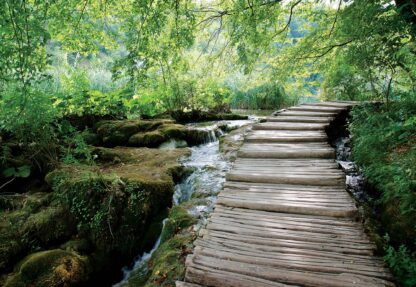 Green Forest Waterfall Pathway(1995WM) - Image 2