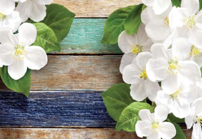 Flowers On Painted Wood Plank Texture(2001WM) - Image 2