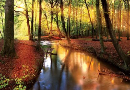 Autumn Forest River Nature(2017WM) - Image 2