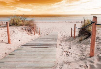 Beach Path Sea Coastal Sepia(2020WM) - Image 2