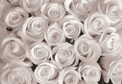 Sepia Roses(2167WM) - Image 2