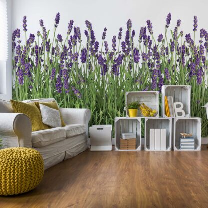 Lavender(2174WM)