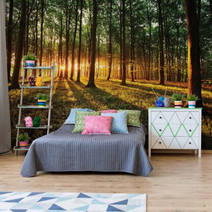 Forest Landscape Sunrise(2226WM)