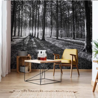 Forest Landscape Black And White(2229WM)