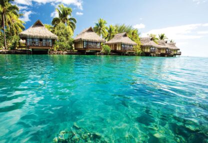 Island Tropical Sea Paradise(224WM) - Image 2