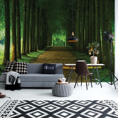 Forest Path(2285WM)
