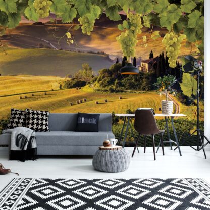 Grapes Vines Countryside Landscape(2331WM)