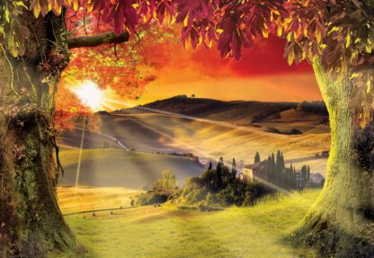 Tuscan Landscape Italy Sunset(2599WM) - Image 2