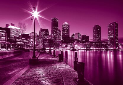 Pink City Skyline Boston(284WM)