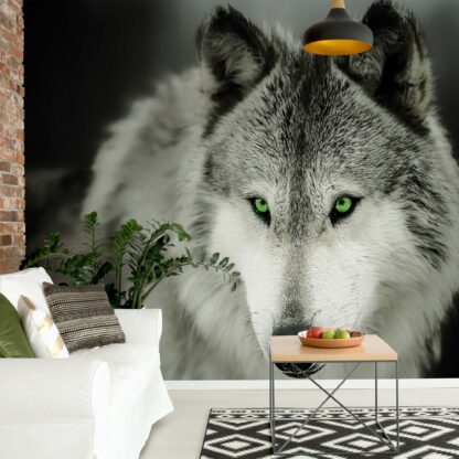 Wolf(2937WM)