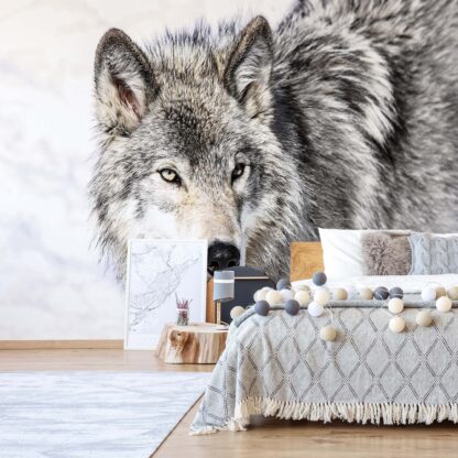 Wolf(2939WM)