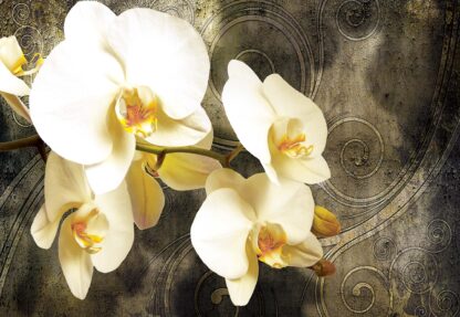 Orchids Swirls(2948WM) - Image 2