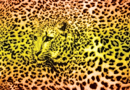 Leopard(296WM) - Image 2