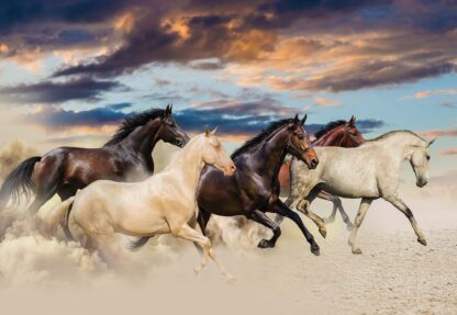 Galloping Horses(2964WM) - Image 2