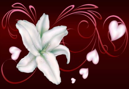 Lily Hearts Modern(298WM) - Image 2
