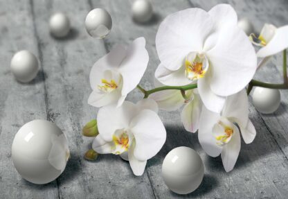 Adult Mural Wallpaper Modern Modern Flowers, Nature, and Swirls(3013WM) - Image 2