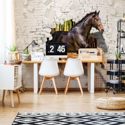 Horse Jumping Through Brick Wall 3D Illusion(3138WM)