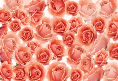 Pink Roses Flowers(3321WM) - Image 2