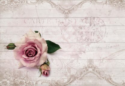 Pink Rose Vintage Design White Wood Texture(3346WM) - Image 2