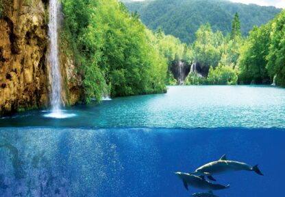 Waterfall Dolphins(3355WM) - Image 2