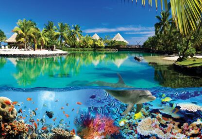 Tropical Island Paradise Dolphins Coral Reef(3356WM) - Image 2