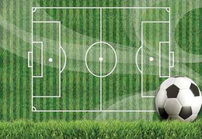 Football Pitch(3387WM) - Image 2