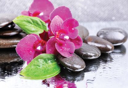 Pink Orchids Spa Pebbles(3473WM) - Image 2