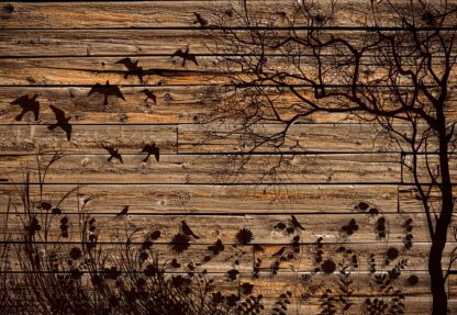 Rustic Birds And Tree Silhouette Wood Plank Texture(3487WM) - Image 2