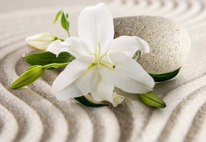 Lillies Flowers Zen Spa(3522WM) - Image 2