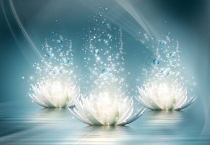 White Lotus Flowers Sparkles Spa(3566WM) - Image 2