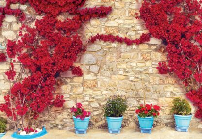 Red Flowers Old Stone Wall(3579WM) - Image 2