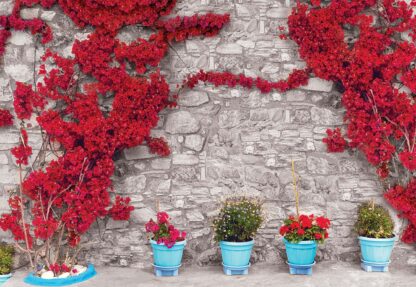 Red Flowers Old Stone Wall(3580WM) - Image 2